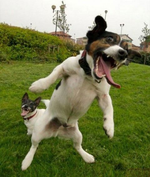 Диляра Сарсенова