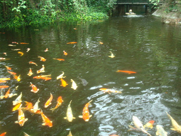 Галина Мальцева