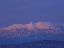 Артём Циликов