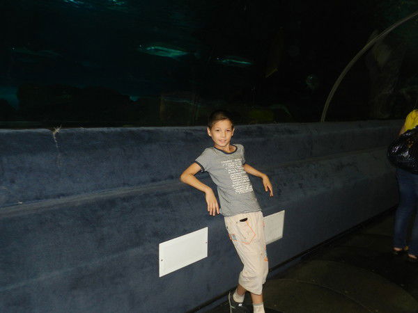 Айдын Кабиев