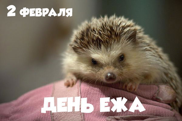 Евгения Белова