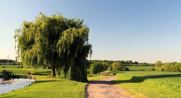 Карлыгаш Губайдуллина