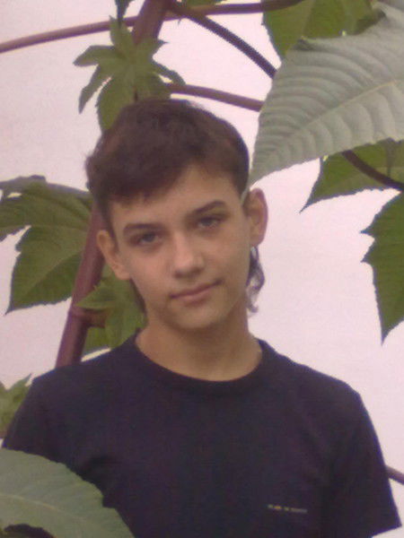 Алексей Никитин