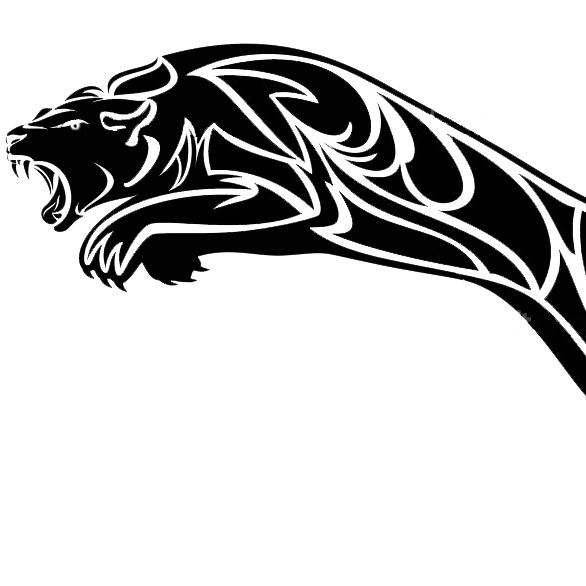 Александр Степанов