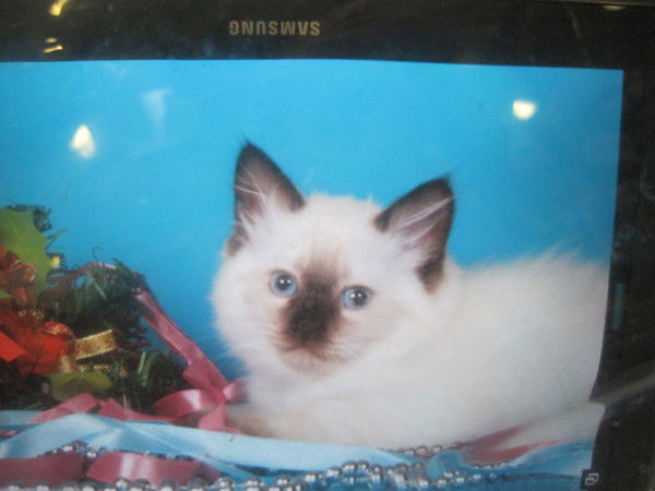 Екатерина Мазина