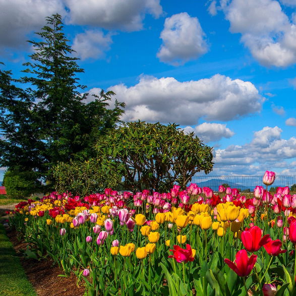 Наталья Карпушина