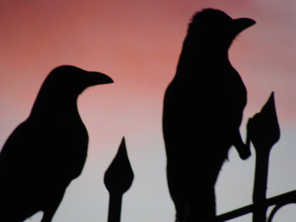 Павел Пашнов