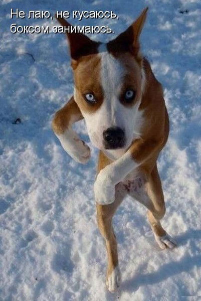 Анатолий Иванов