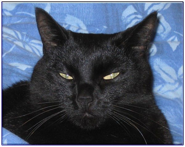 Виталий Петонов