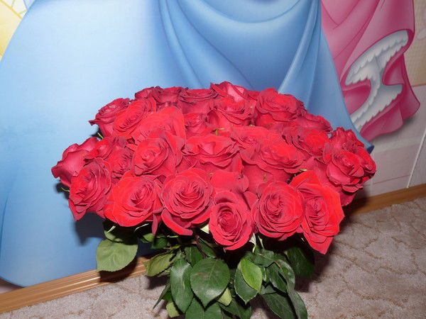 Ирина Васильева