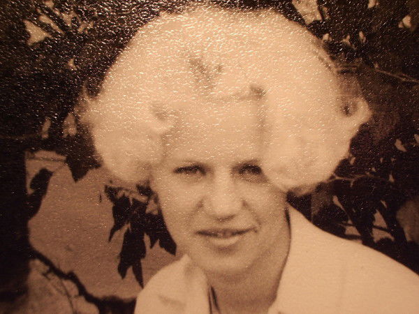 Елена Павлова