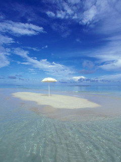 Ирина Ирина