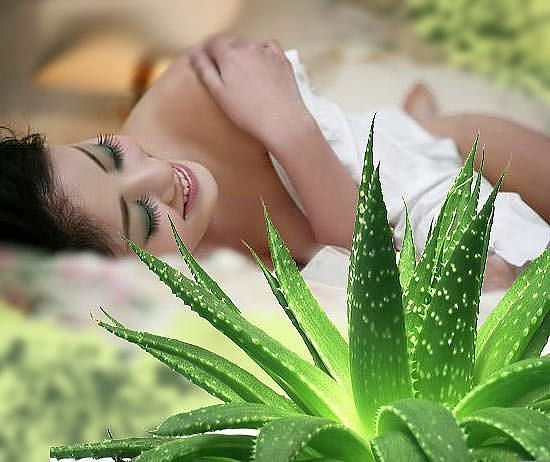 Ольга Ляхова