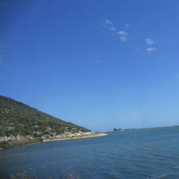 Анна Попова