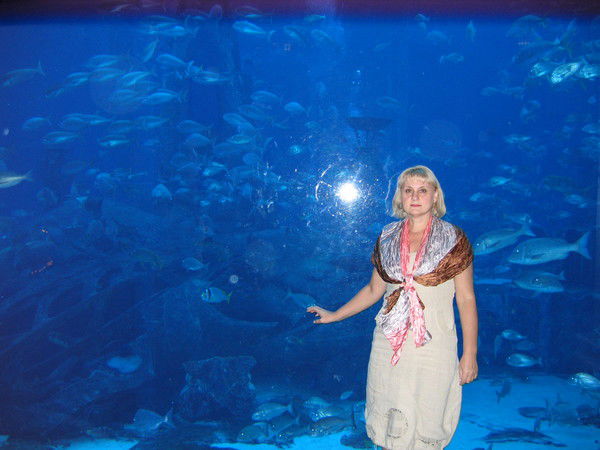 Елена Голикова