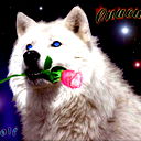 Равшан Каюмов