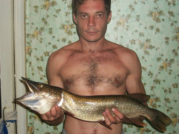 Андрей Евстюнин