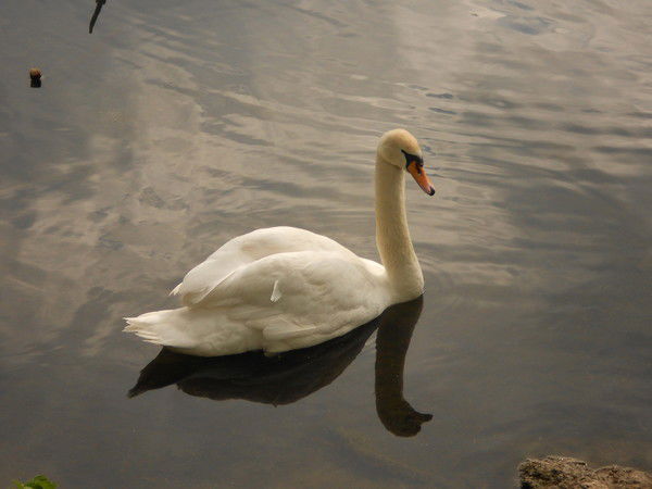 Альфия Мингазова