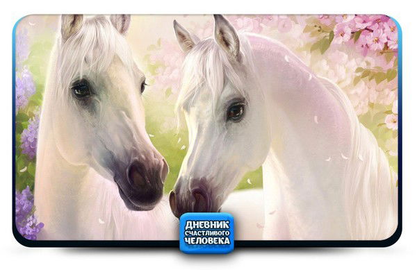 Жадыра Толеген