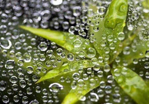 Ауес Бегжанова