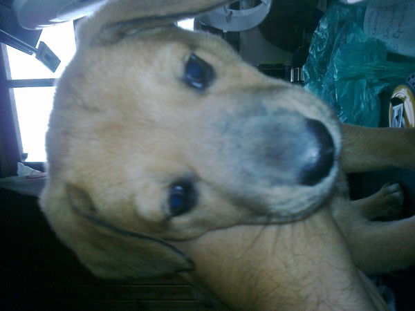 Александр Шлыков