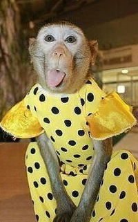 Сауле Нуртазова