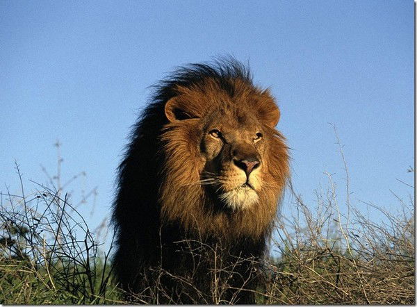 Виктор Онопин