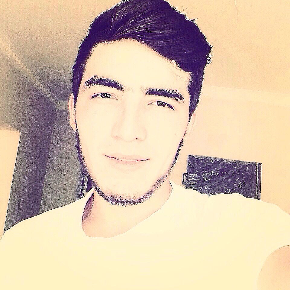 °•°Pitbul•°•°•:tm: •°•°Pitbul•°•°•