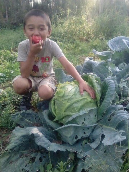 Курсанали Маматалиев