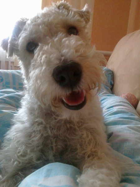 Нина Смирнова