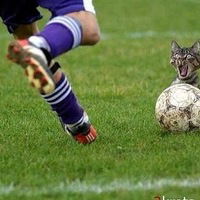 Александр Иванченко