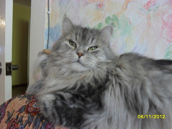 Татьяна Смагина