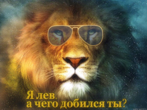 Костя Вилисов