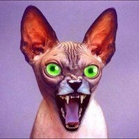 Роман Черевань