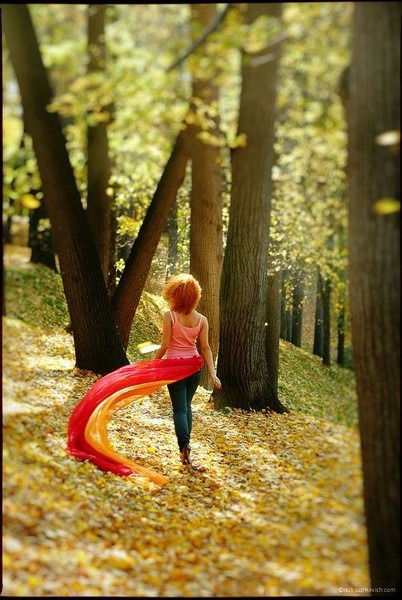 Екатерина Ершова Нф