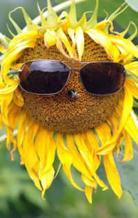 Максим Балашов