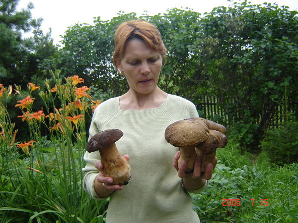 Любовь Ерошенко