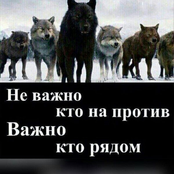 Гульжан Естемесова