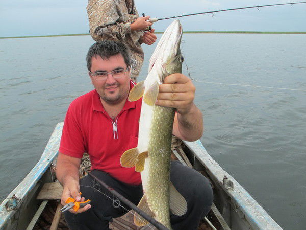 Андрей Безбородов