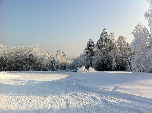 Владимир Богданов