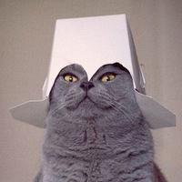 Софья Салмина