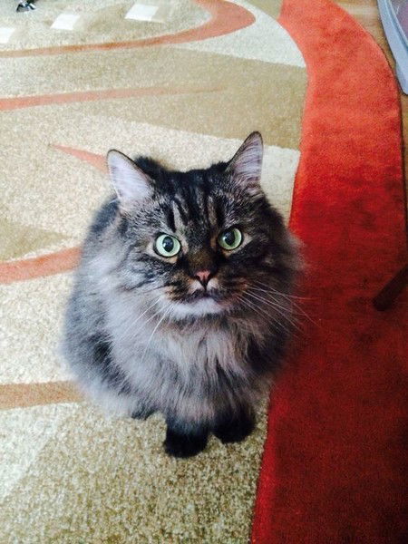 Валентина Боднар