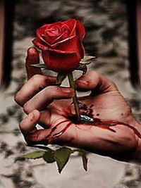 Николай Шашкин