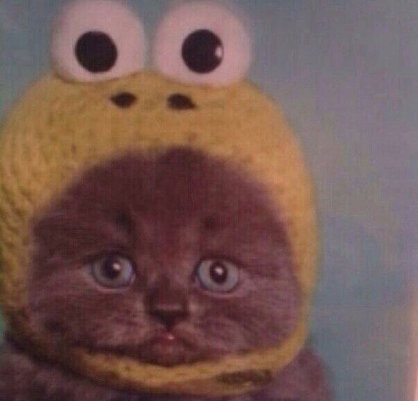 Мишутка Стелецкий