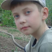 Дмитрий Фрич