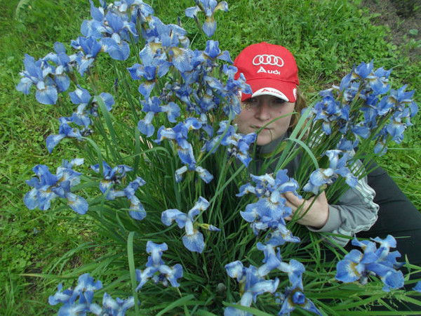 Анастасия Комарова