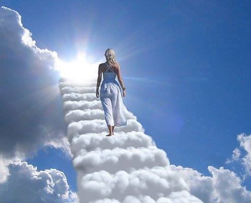 Мечта Милая