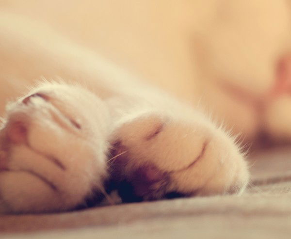 Алена Нечаева