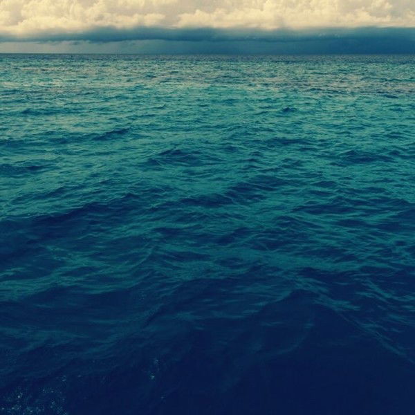 Фарида Фарида