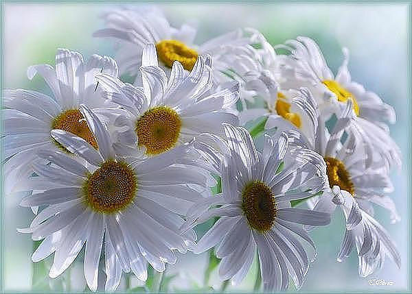 Зиля Уралбаева